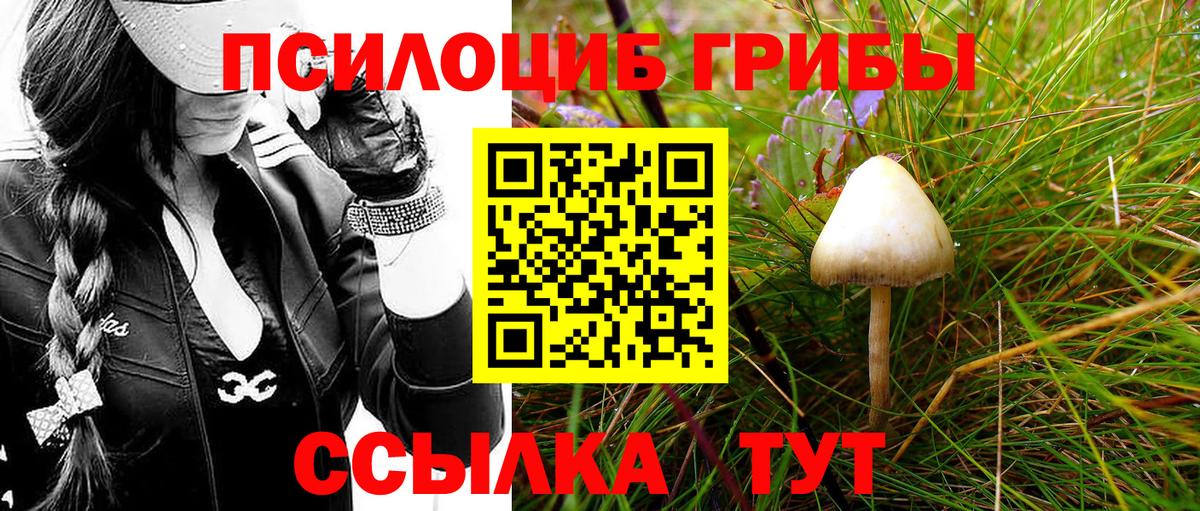 Галлюциногенные грибы Cubensis  сколько стоит  Воткинск  Псилоцибиновые грибы Psilocybe  Вход с VPN 