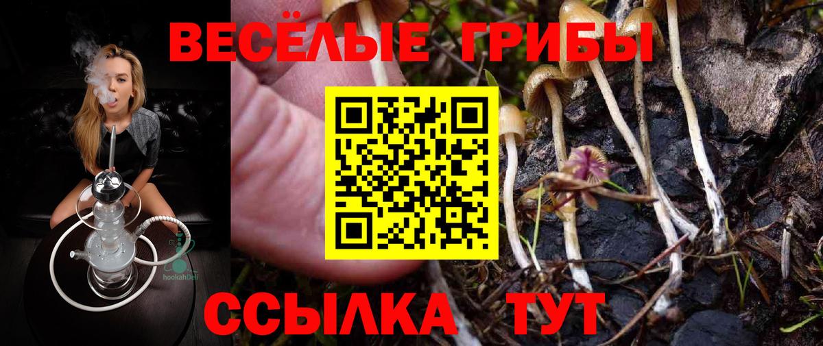 Псилоцибиновые грибы ЛСД Воткинск